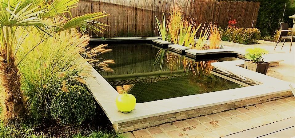 2 piscine ecologique