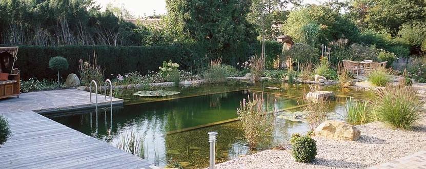 Swimming ponds and natural swim ponds 1 2